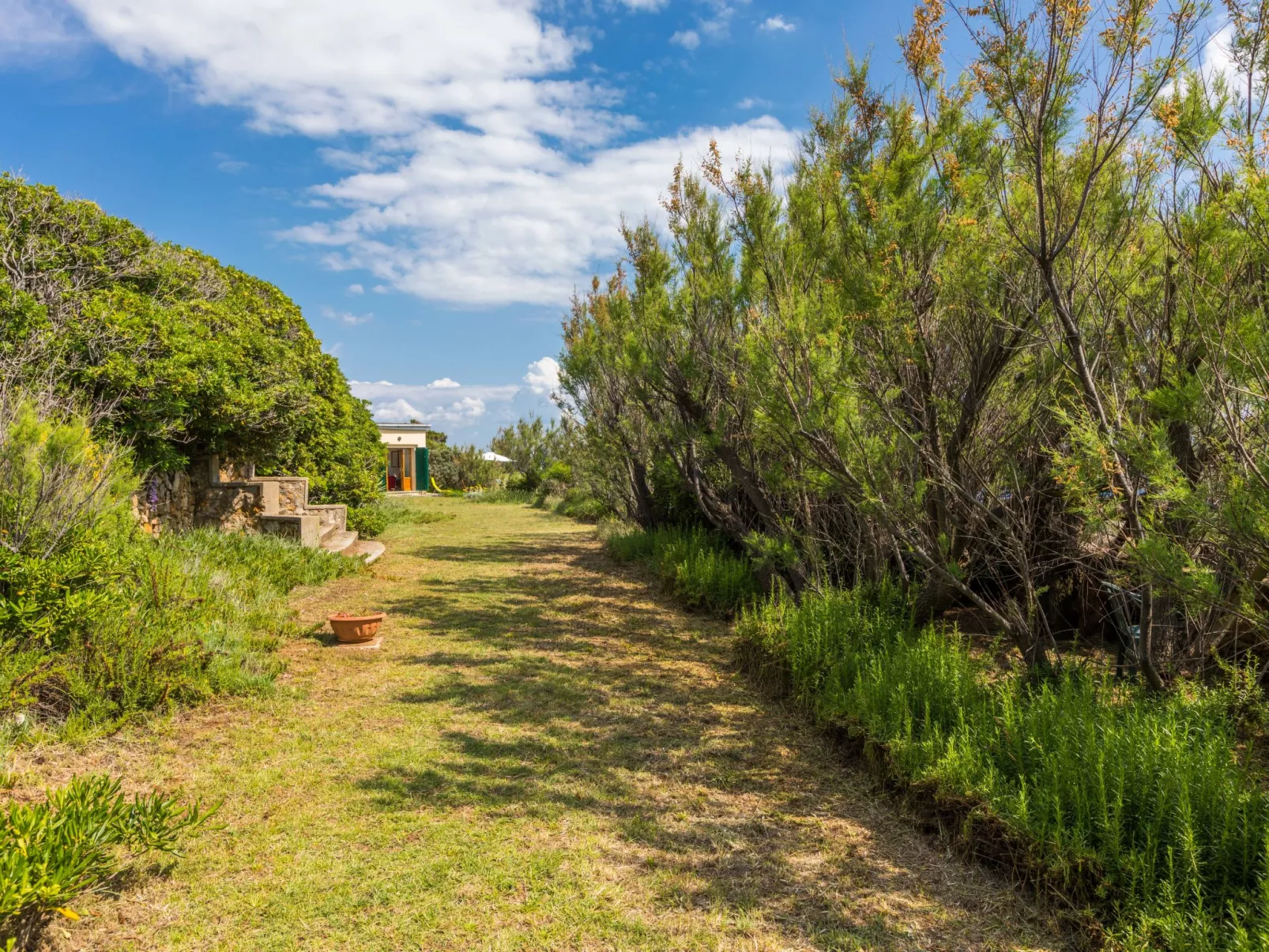Il Giardino sul Mare - Buiten