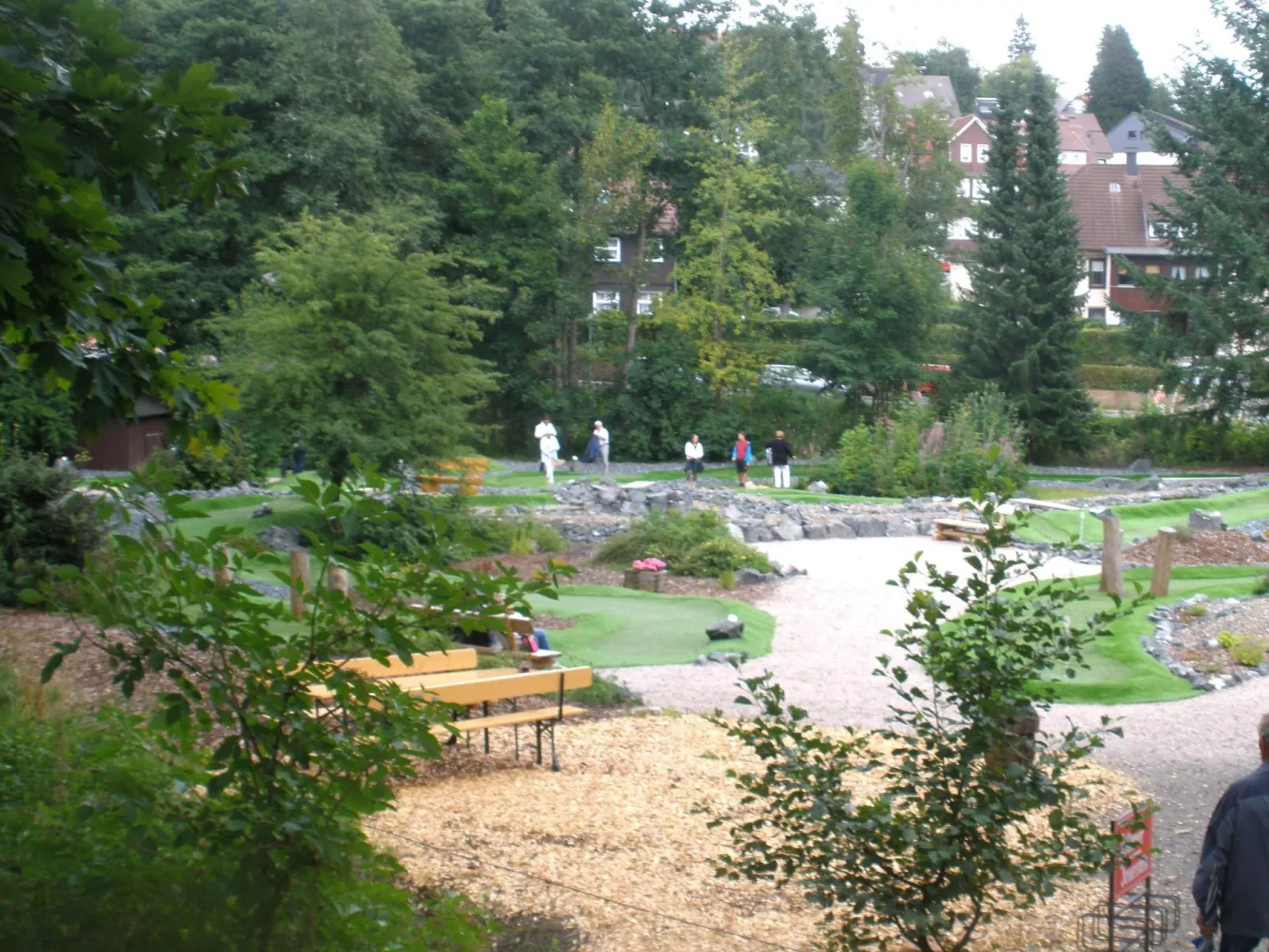 Tanne - Image-tags.info