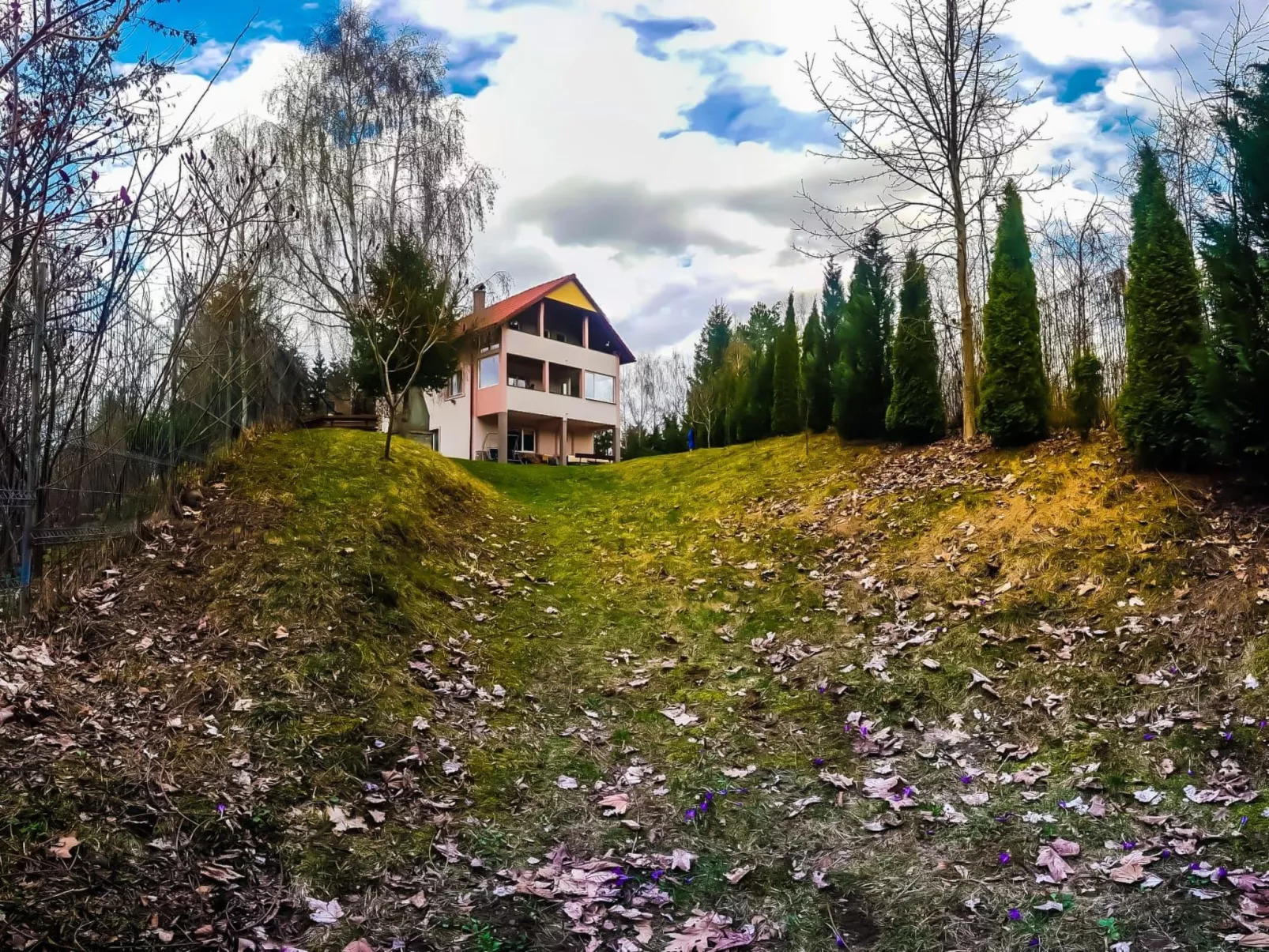 Vila Roberta Breaza Brasov - Buiten