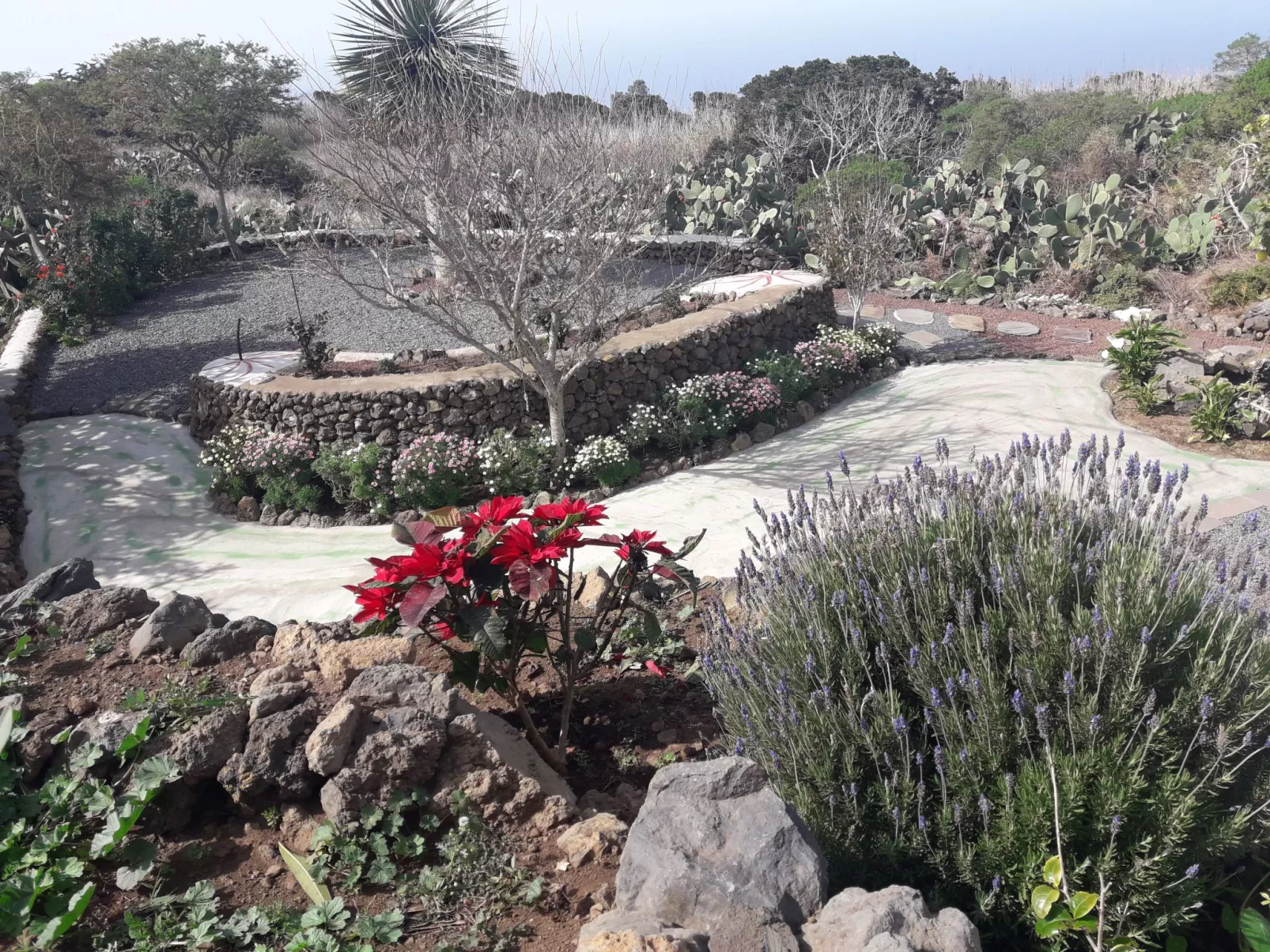 "Casa El Vallito" schönes Steinhaus - Buiten