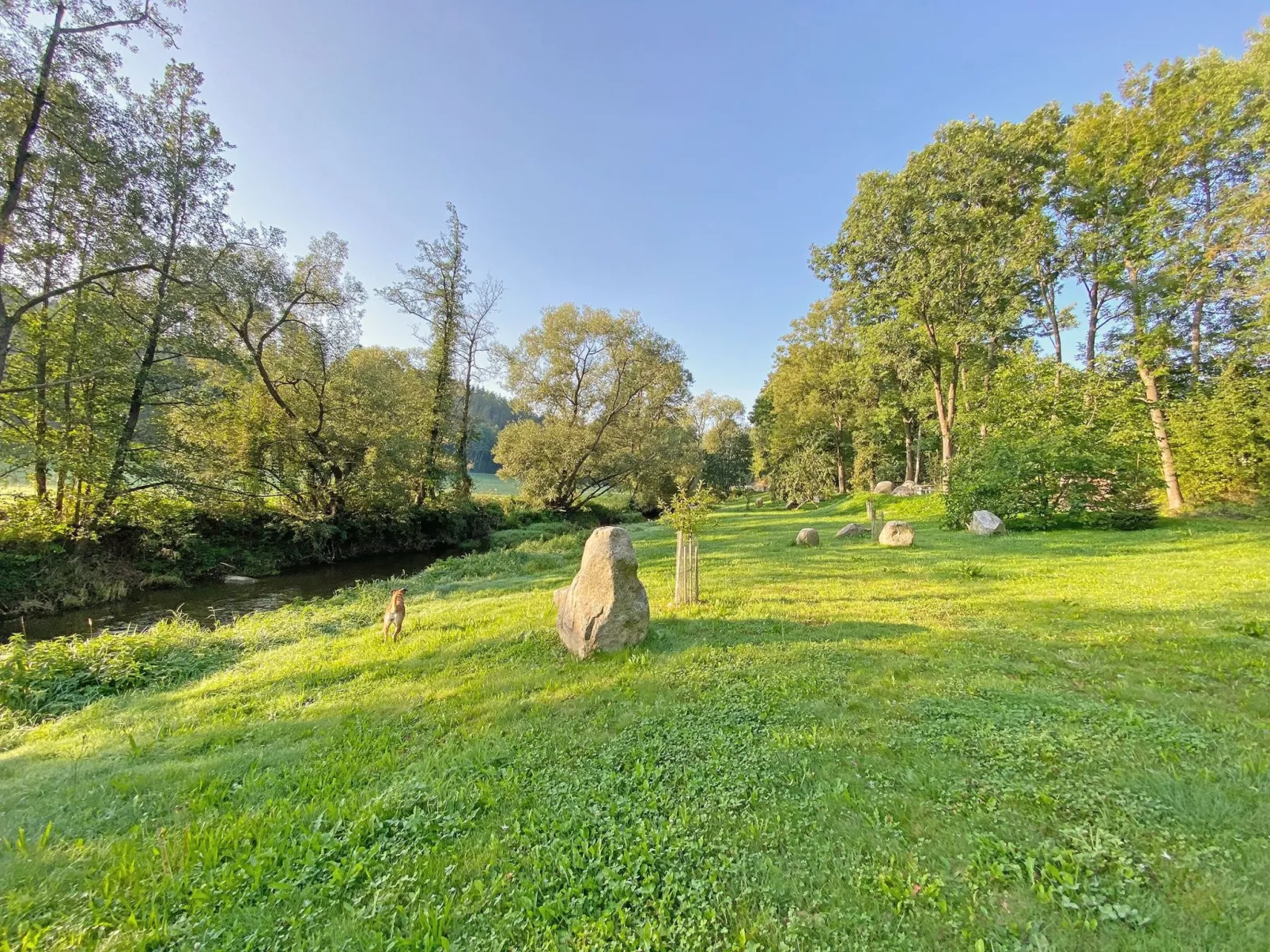 EL MOLINO - Image-tags.info