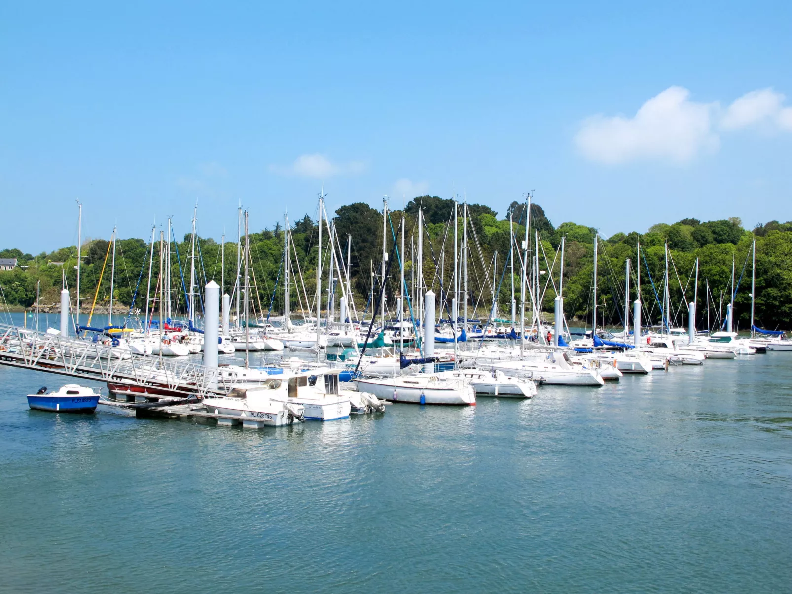 Elioluaso - Omgeving