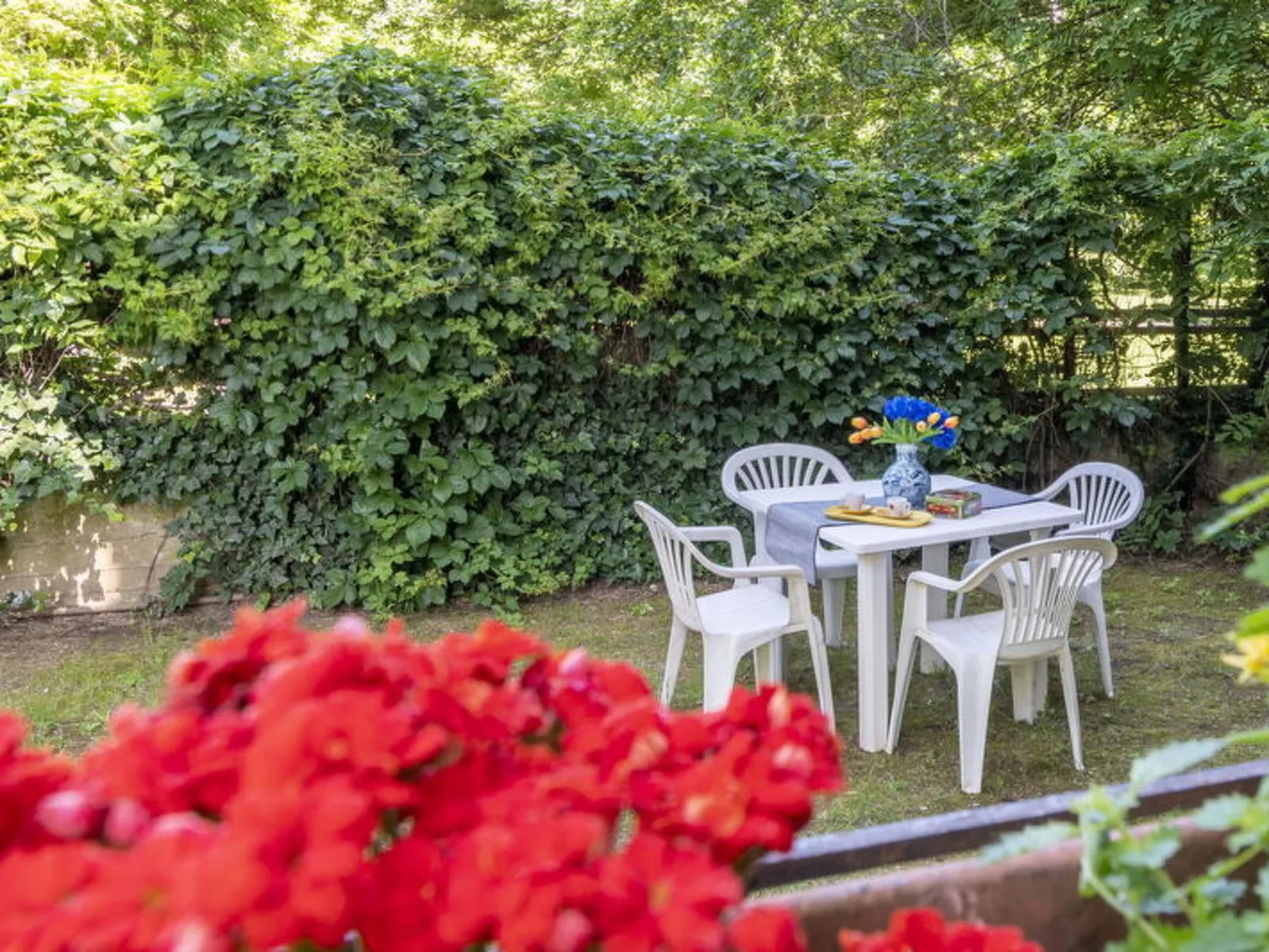 Suite Vogel - Buiten