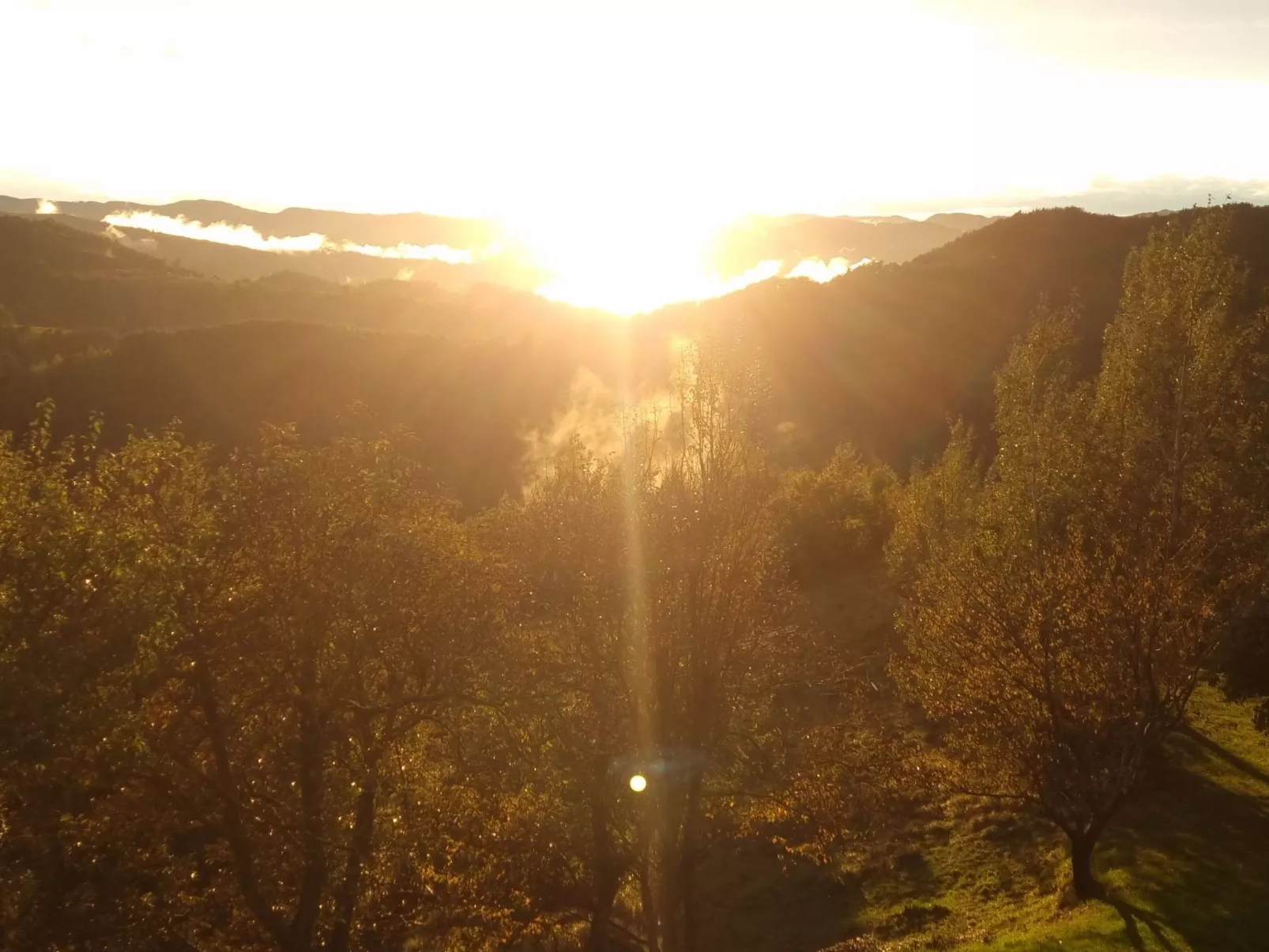 Rustikales und charmantes Doppelzimmer "Olmo Gentile" - Buiten