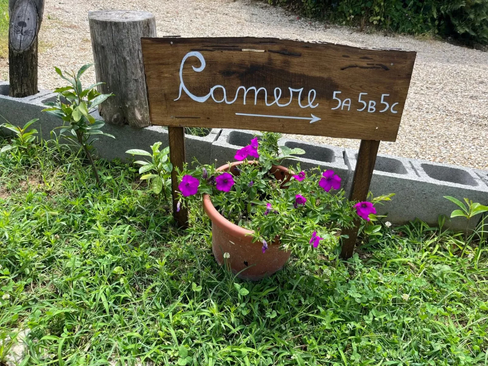 Orchideen-Zimmer - Buiten