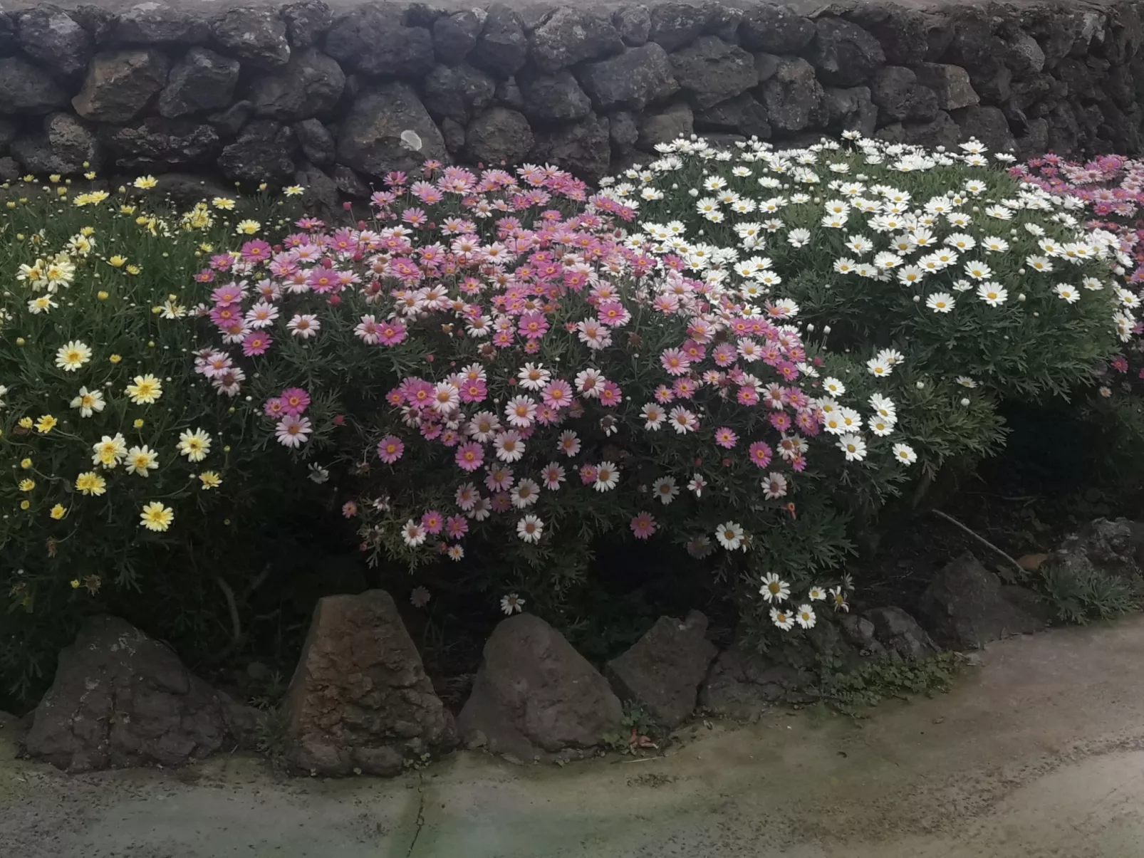 "Casa El Vallito" schönes Steinhaus - Buiten