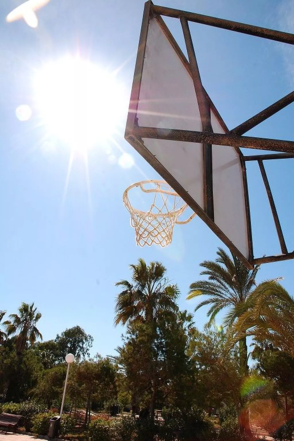 Violeta 17 - Image-tags.info