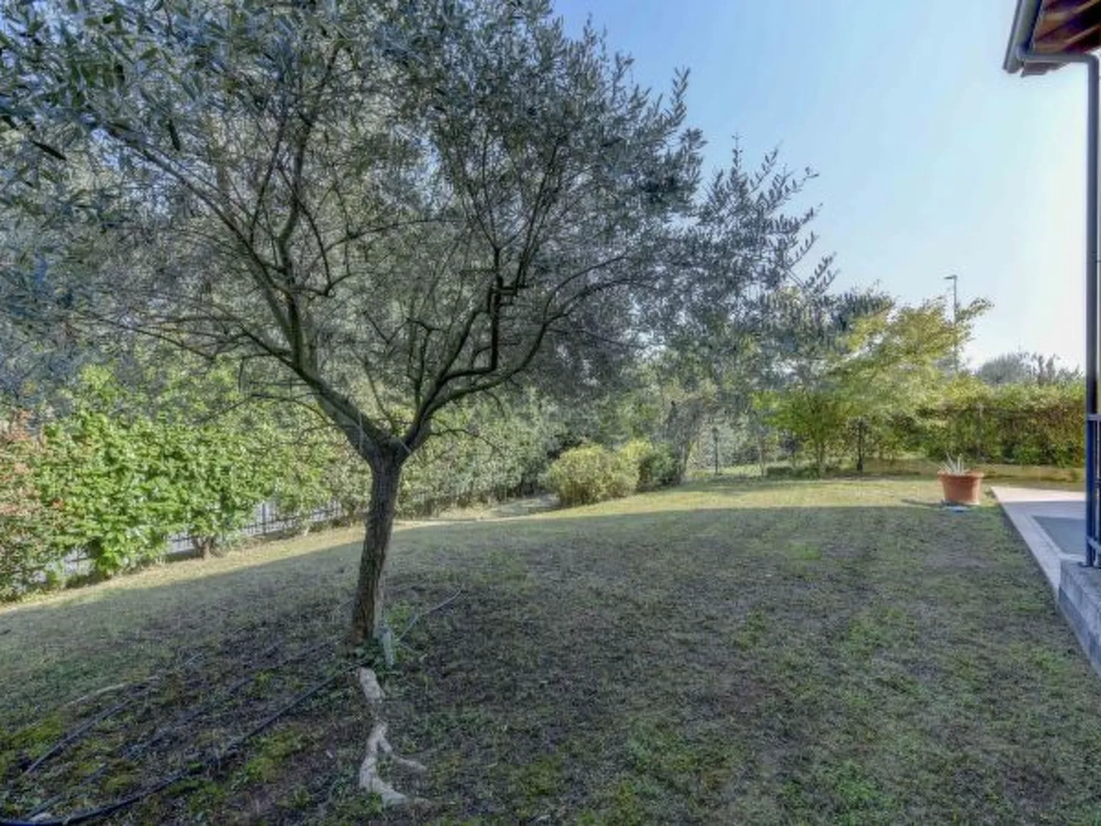 Desenzanoloft Oasis - Image-tags.info