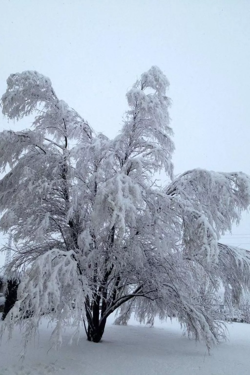 Ocra Familiensuite - Buiten