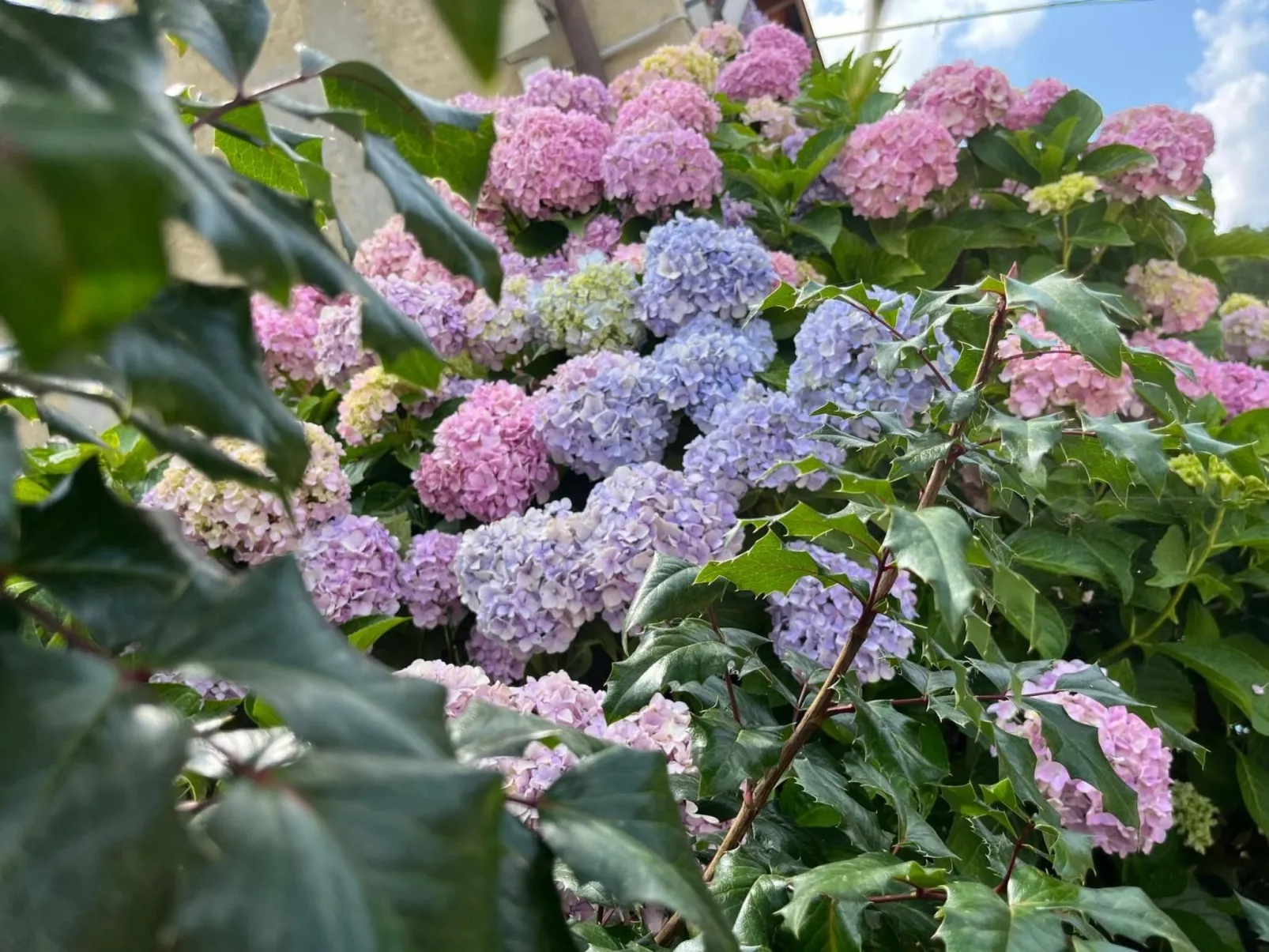 Orchideen-Zimmer - Image-tags.info