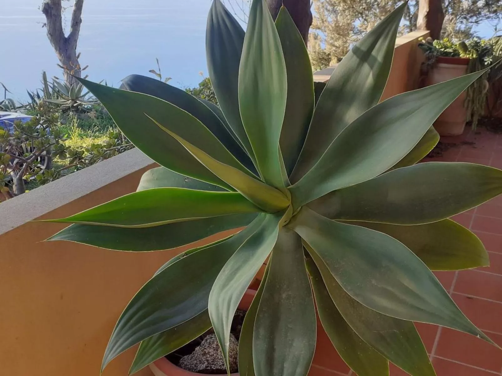 Villa Panorama Wohnung in privater Villa - Buiten