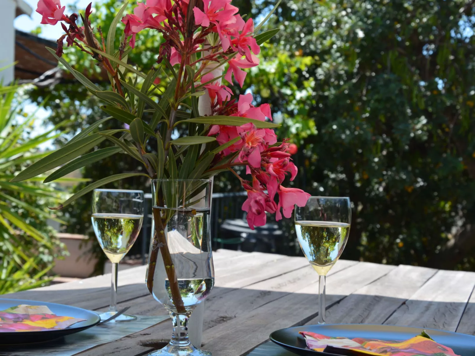 Finca "La Estrella de Cómpeta". - Buiten