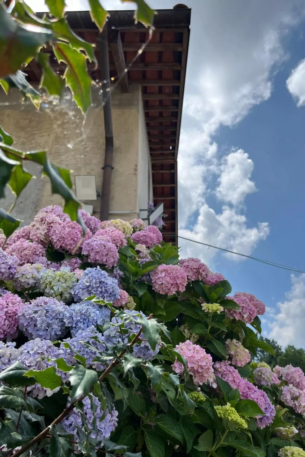 Orchideen-Zimmer - Image-tags.info