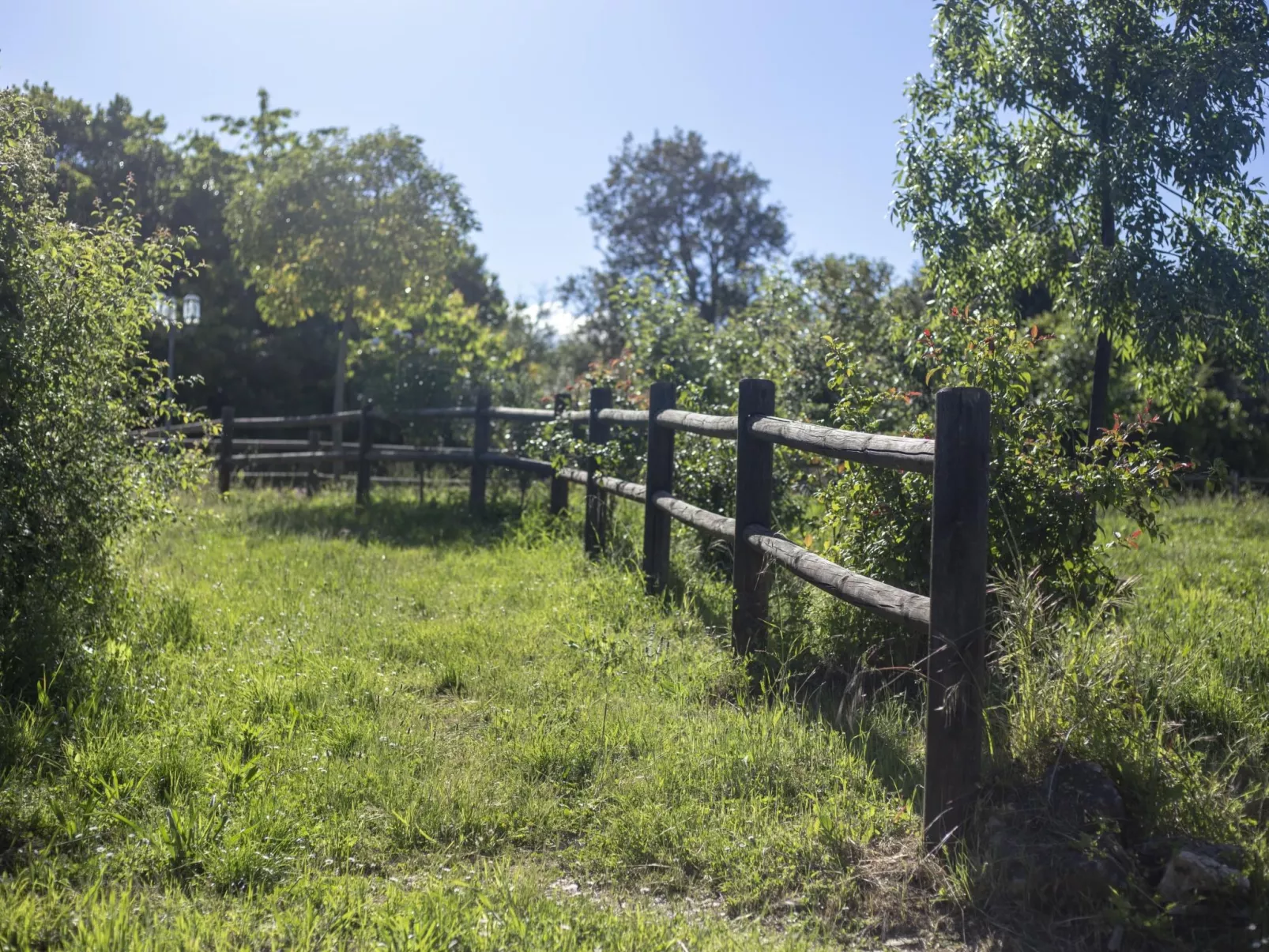 Ländliches Haus Ruralmedulas, 10 Personen - Buiten