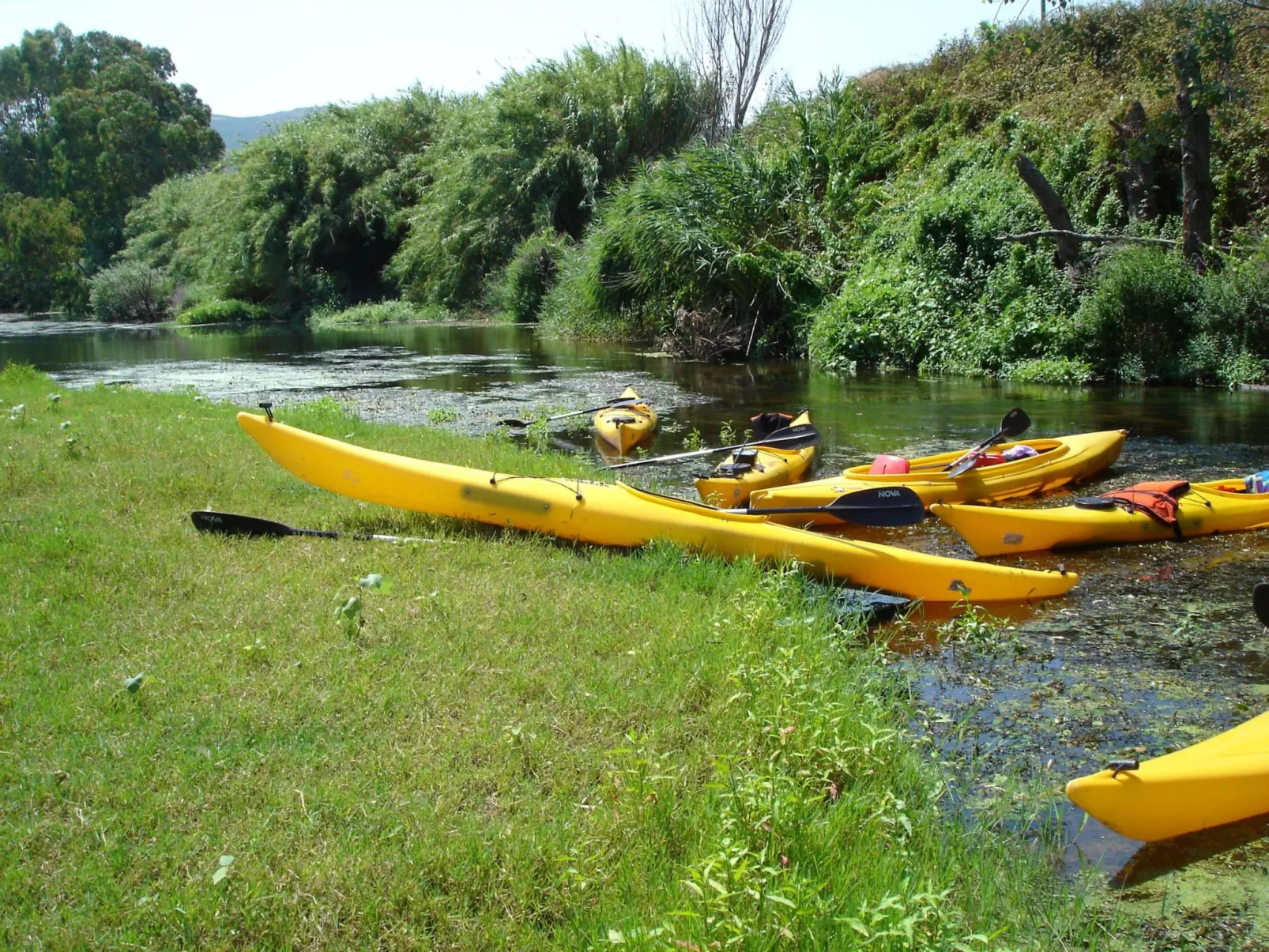 Sa Fiorida C plus - Buiten