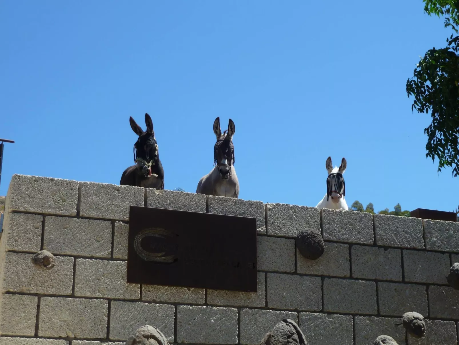 Bioklimatisches Haus auf Teneriffa - Natur - Entspannung - Buiten