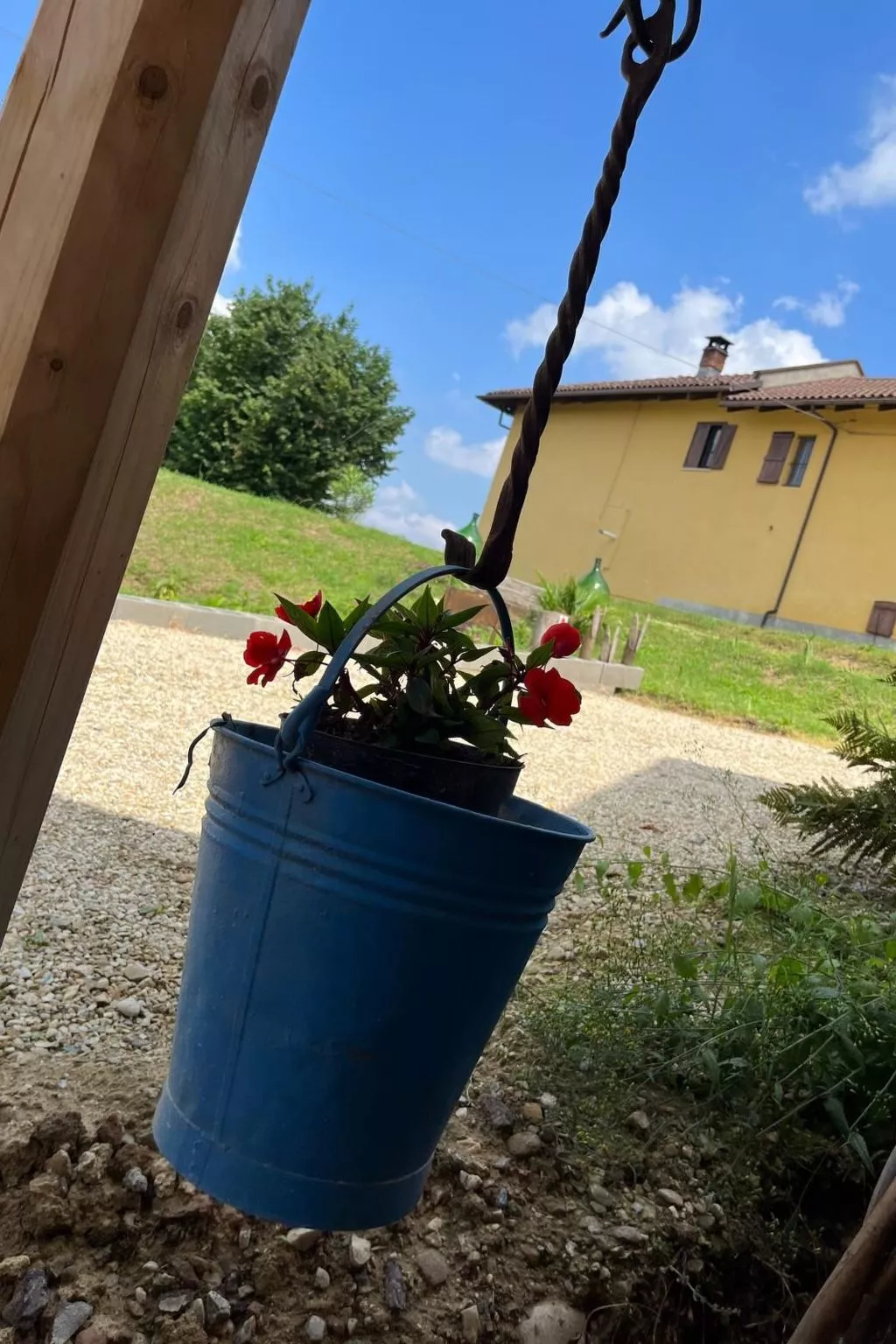 Orchideen-Zimmer - Image-tags.info