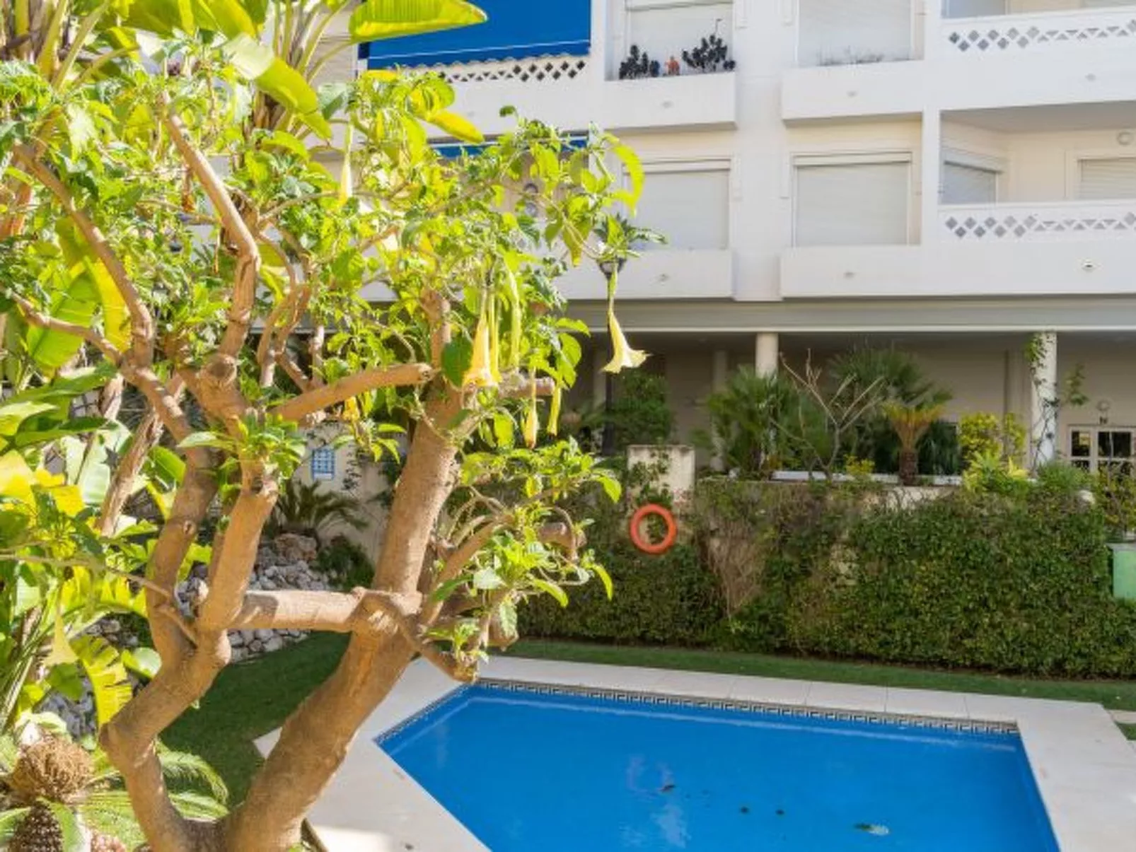 San Pedro del Mar - Image-tags.info