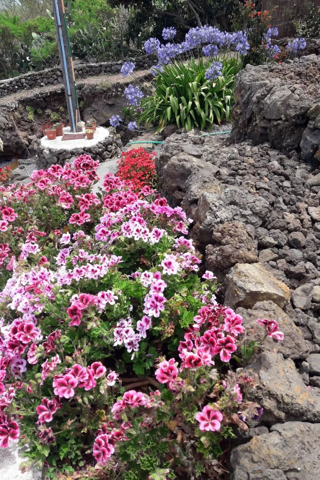 "Casa El Vallito" schönes Steinhaus - Image-tags.info