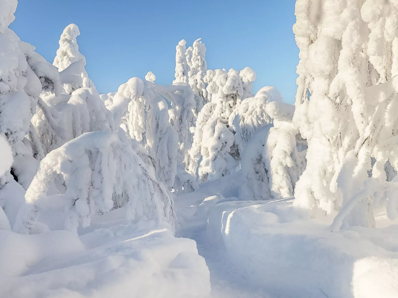 Loma-saaga 3 - Binnen