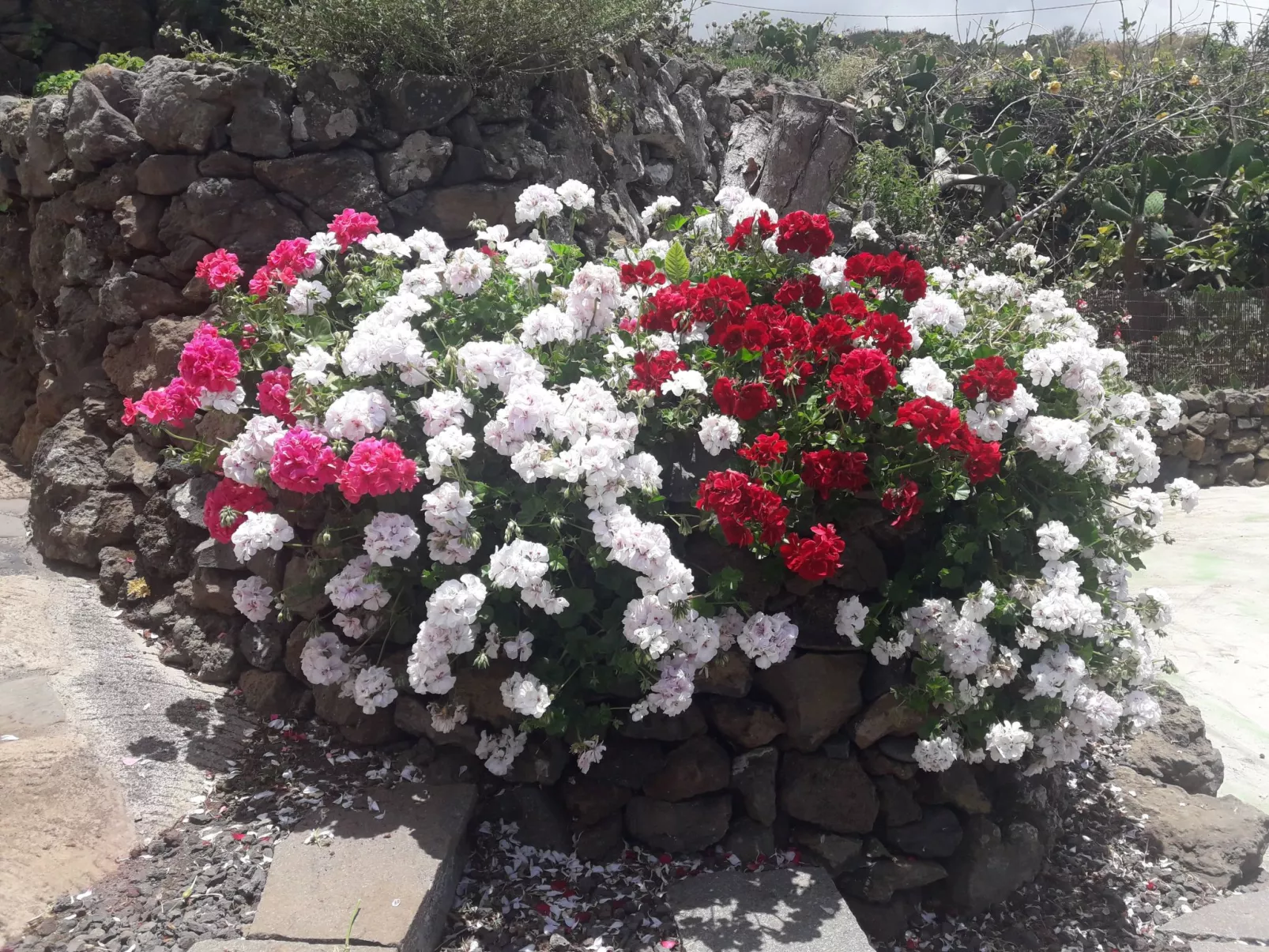 "Casa El Vallito" schönes Steinhaus - Buiten