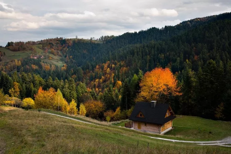 Dom wakacyjny dla 8 osób w Piwnicznej Zdroju - Buitenkant zomer