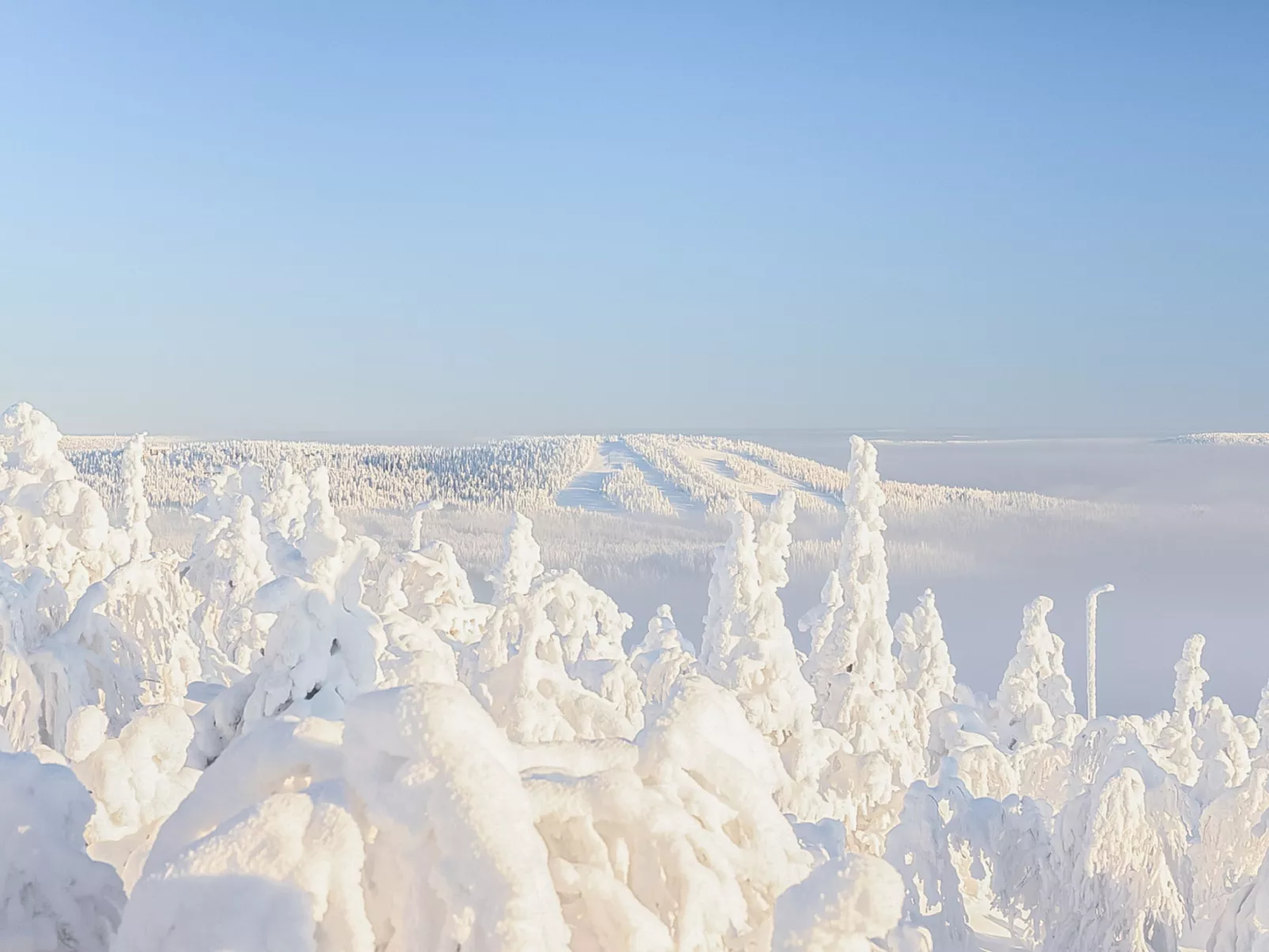 Loma-saaga 3 - Binnen