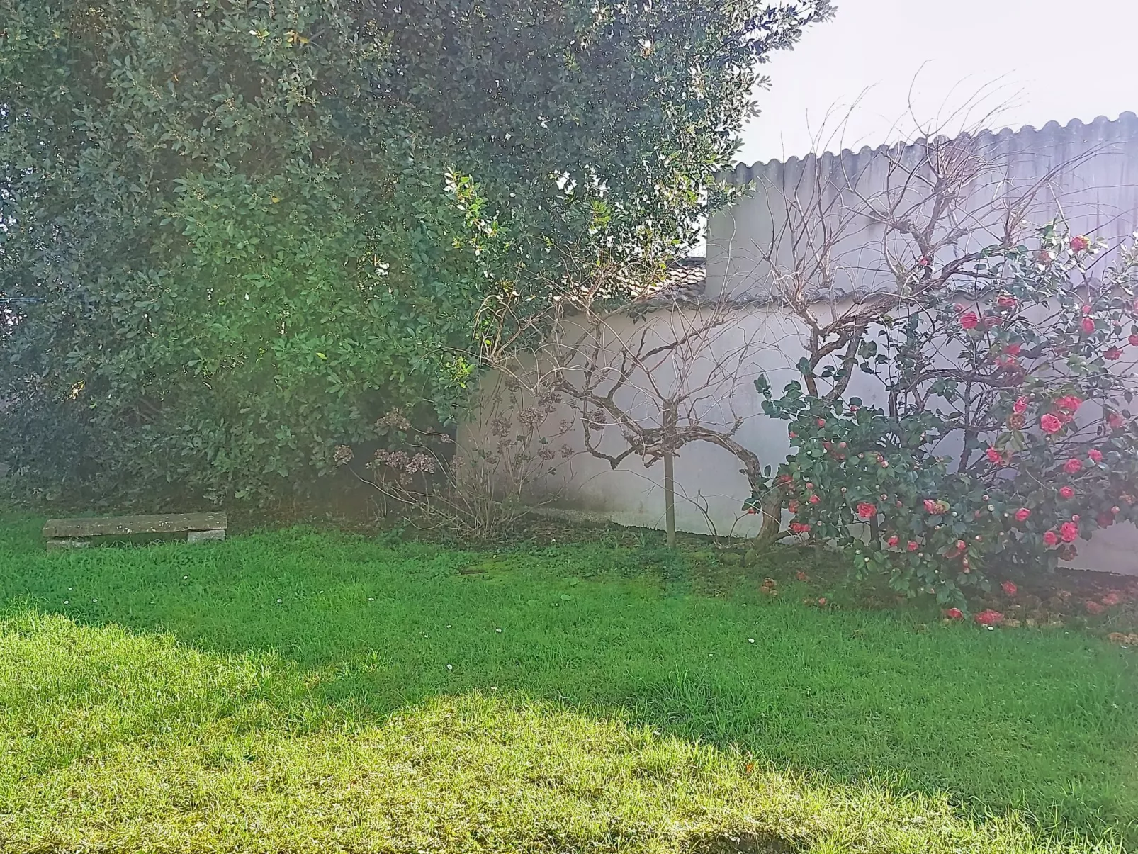 Le Château 3 - Buiten