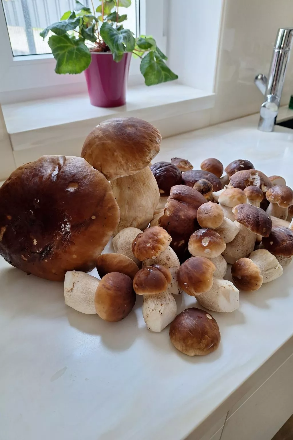 Gästezimmer mit Blick auf die Berge - Buiten
