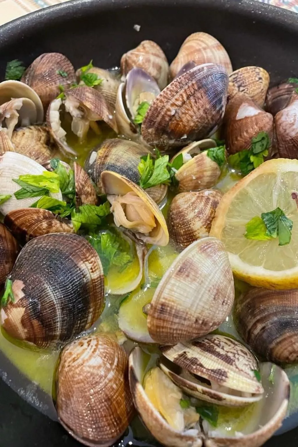 Haus Menezes - Image-tags.info