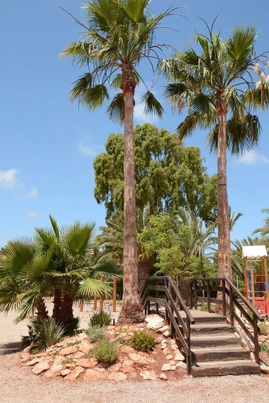 Violeta 17 - Image-tags.info