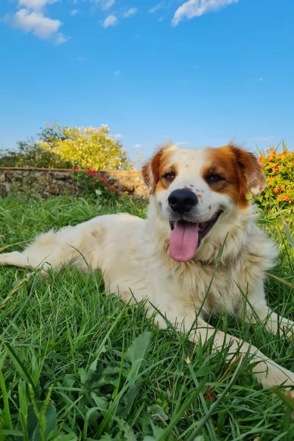 Tolles Reihenhaus im Olivenhain - Image-tags.info