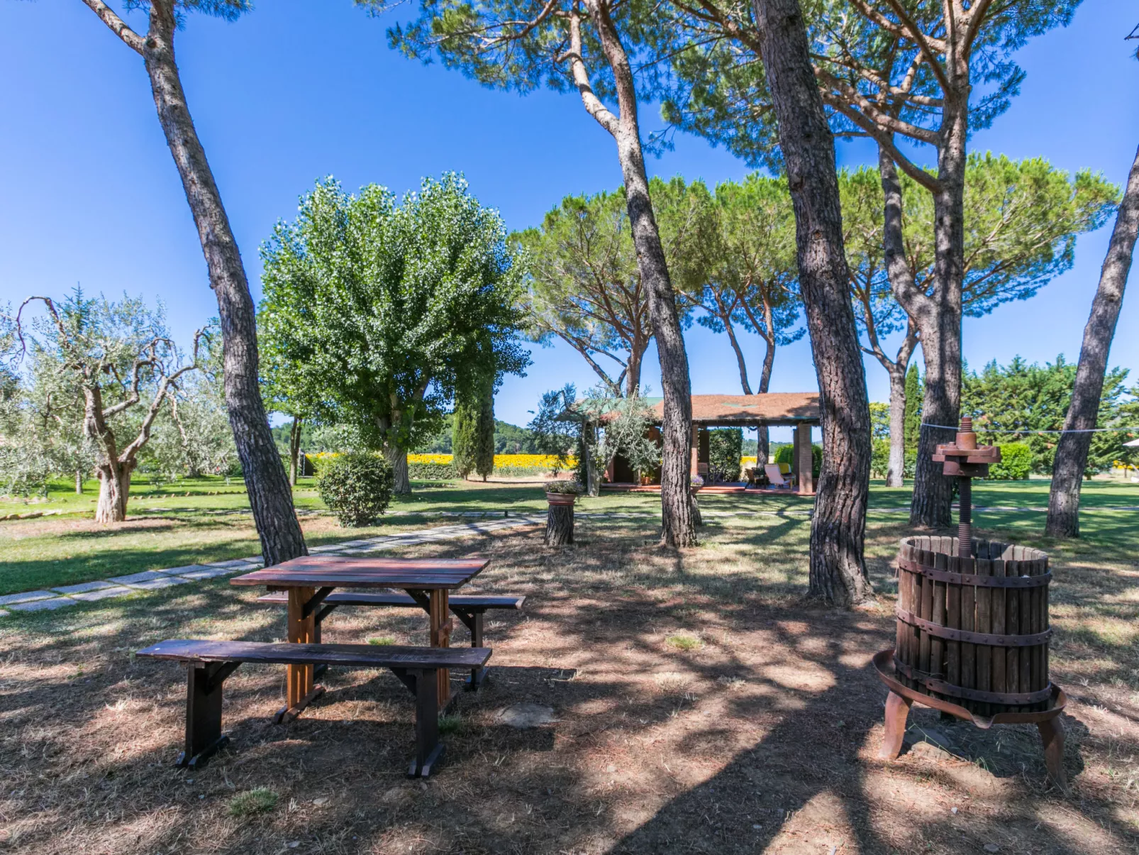 Rossogiallo - Buiten