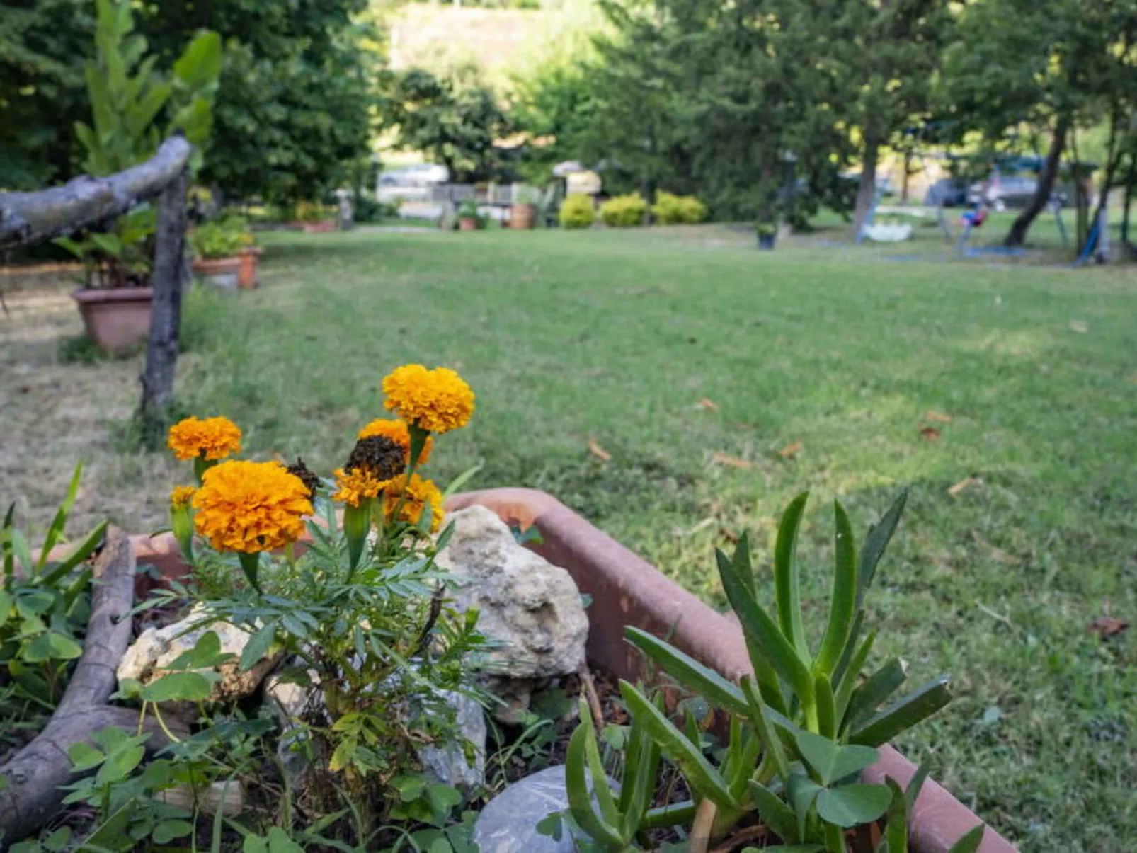 Podere Vallino - Buiten
