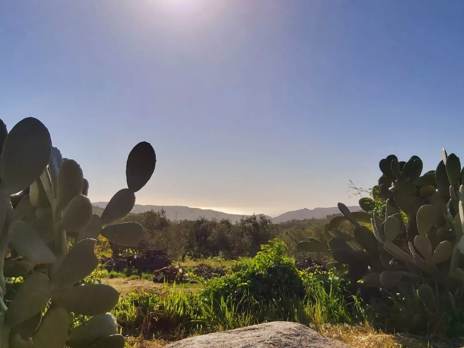Tolles Reihenhaus im Olivenhain - Image-tags.info
