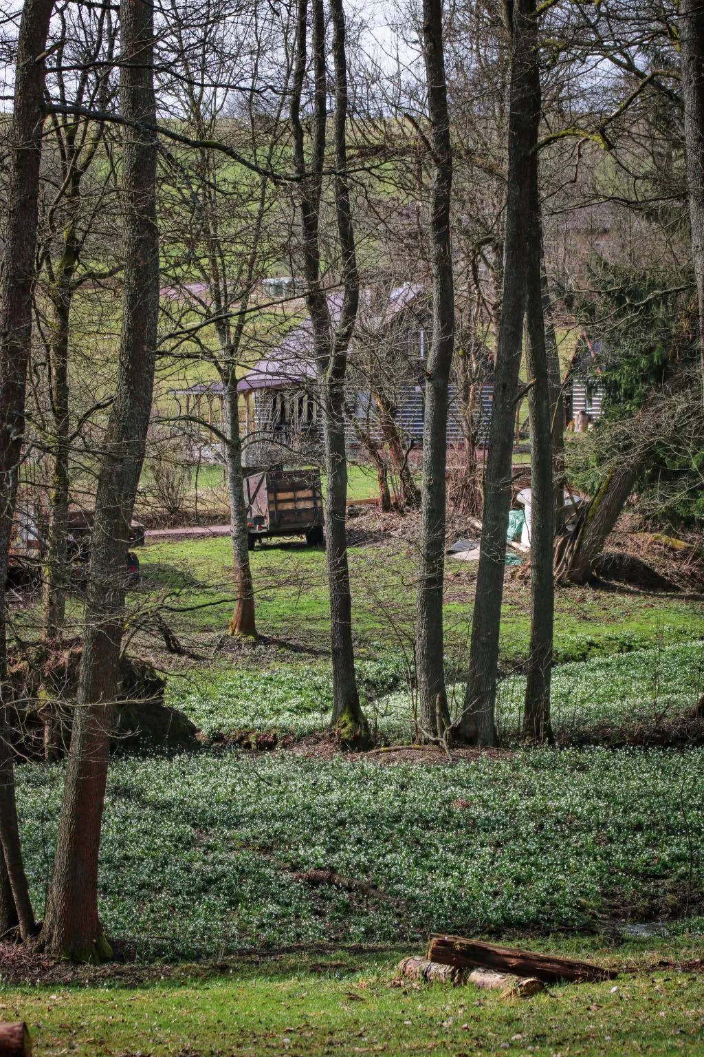 Švýcarka - Omgeving