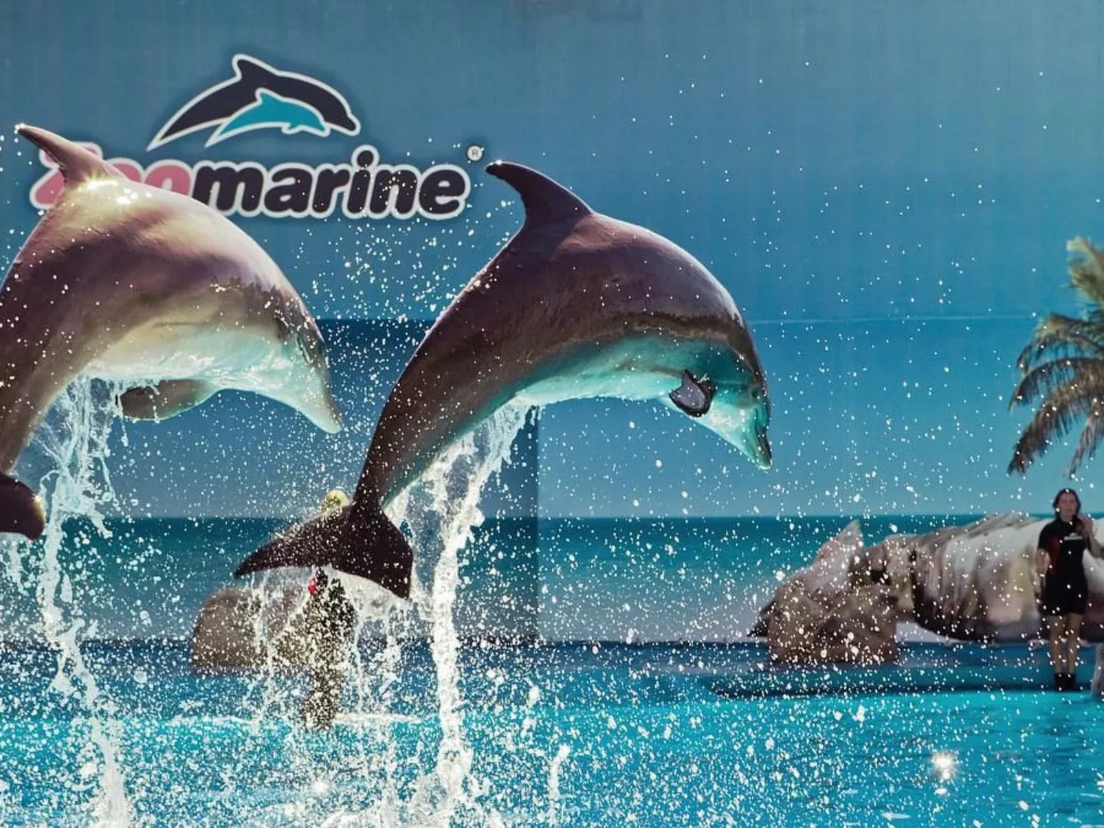 Wunderschöne Wohnung mit Pool - "Maria" - Buiten