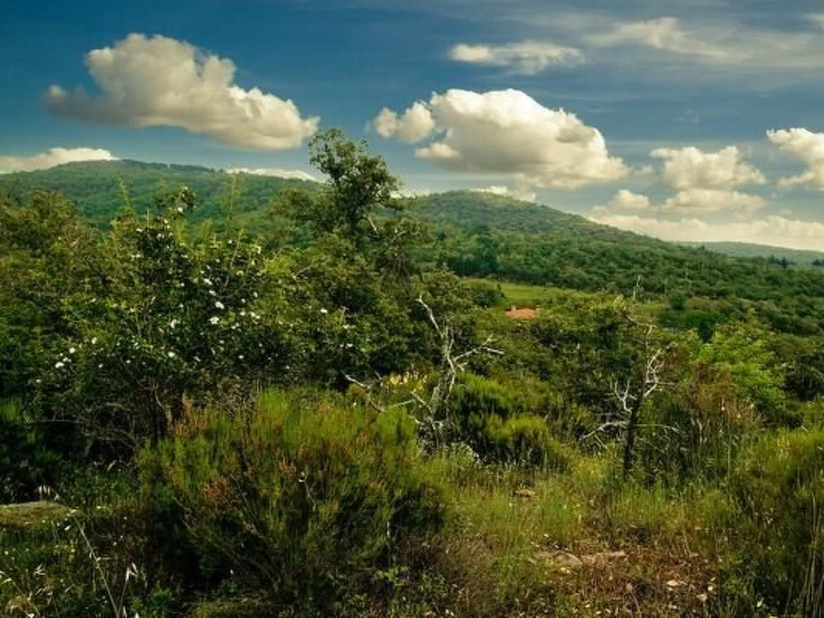 Le Corniole mit Pool, Jacuzzi und Grill - Image-tags.info