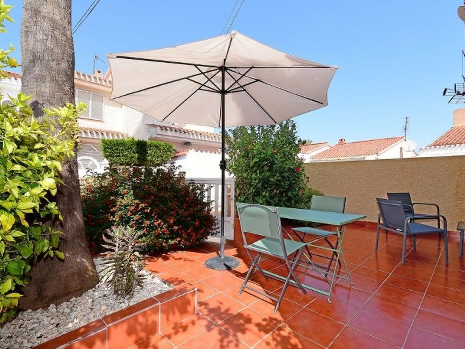 Violeta 17 - Image-tags.info