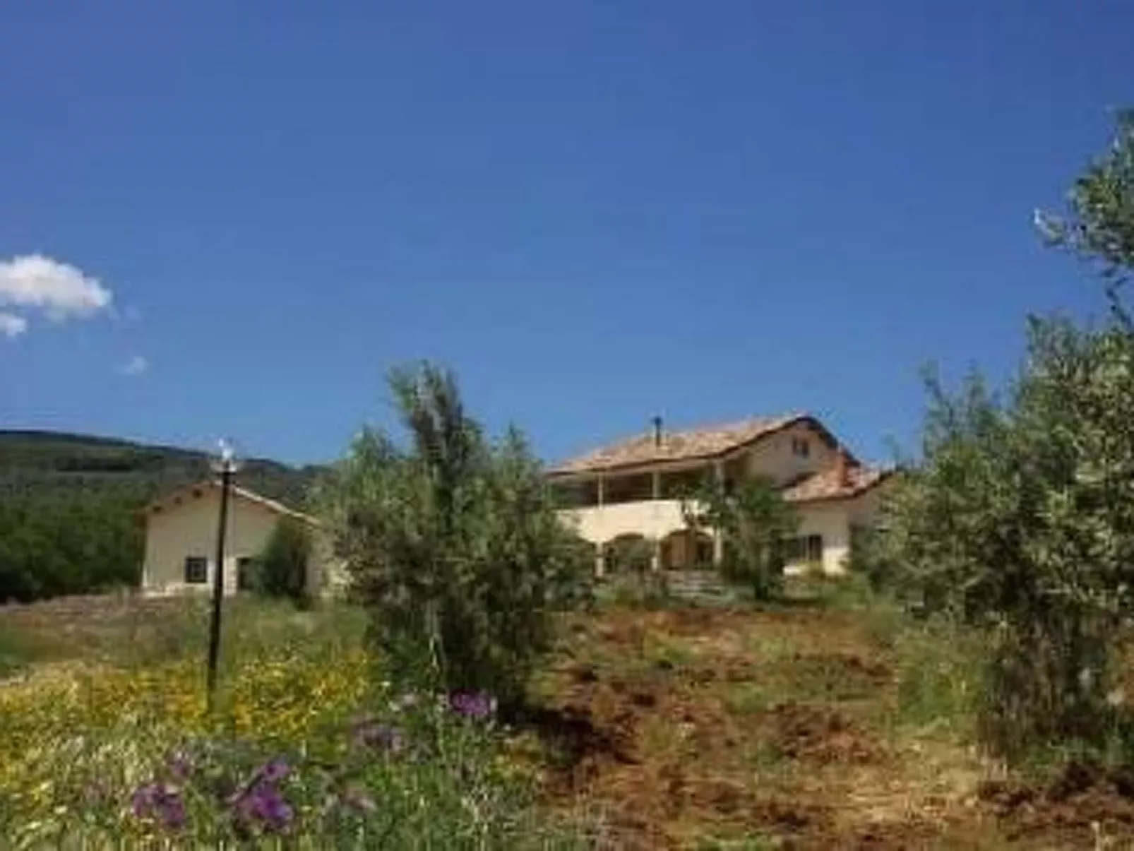 Landgut mit Blick auf das Wasser - Image-tags.info