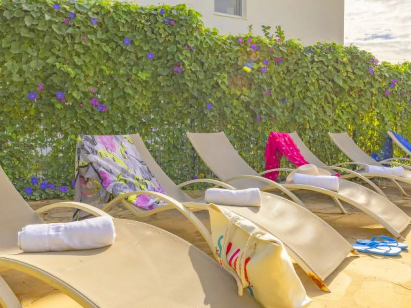 Villa Carola - PlusHolidays - Image-tags.info