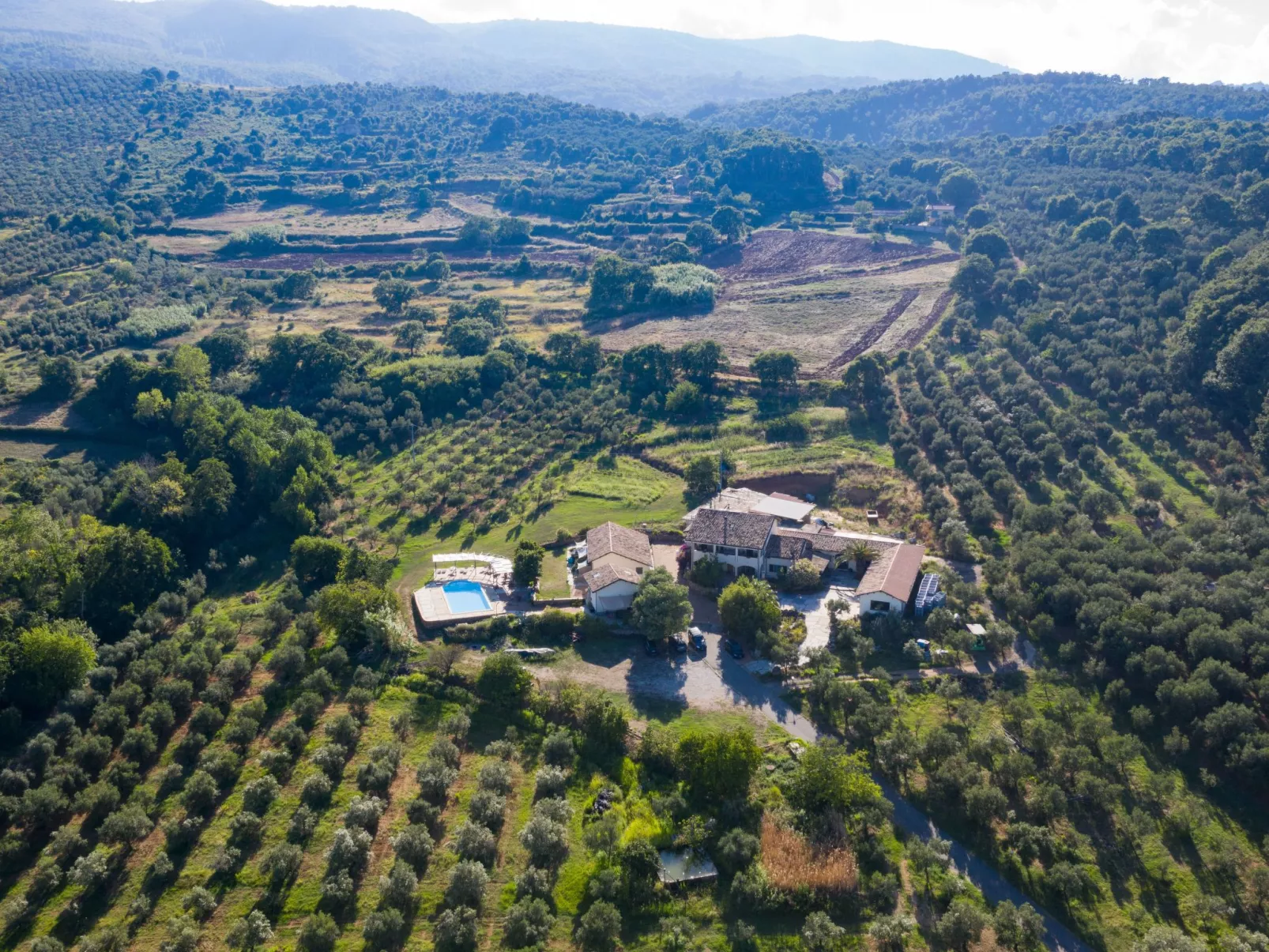 Tolles Reihenhaus im Olivenhain - Buiten