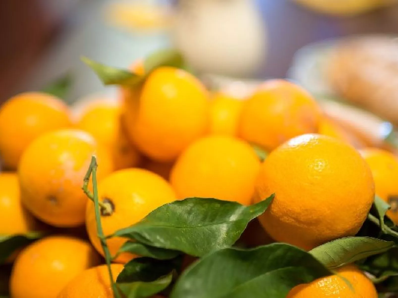 Villa le Olivine Less then 5 min to Sorrento - Image-tags.info