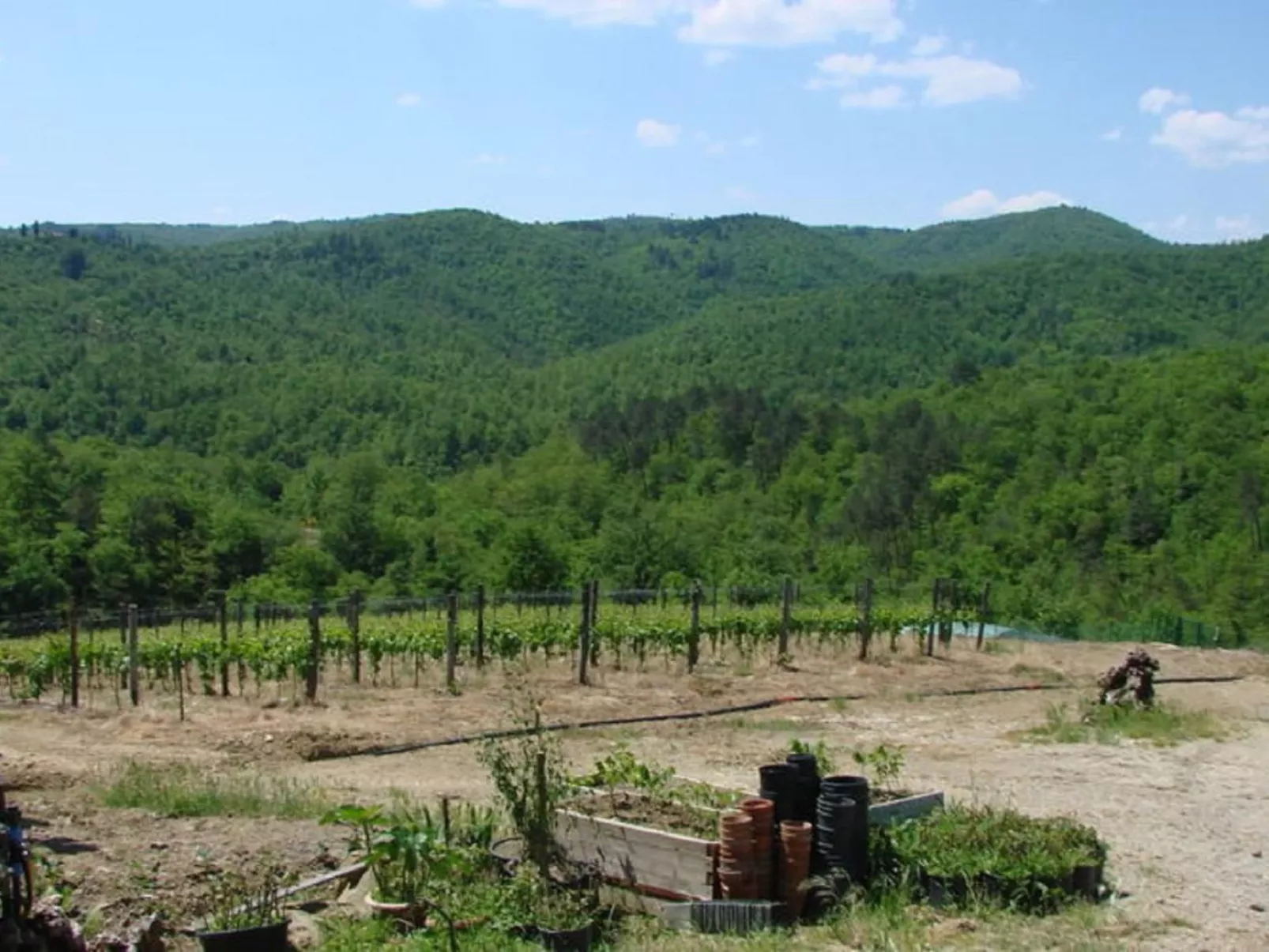 Le Corniole mit Pool, Jacuzzi und Grill - Image-tags.info