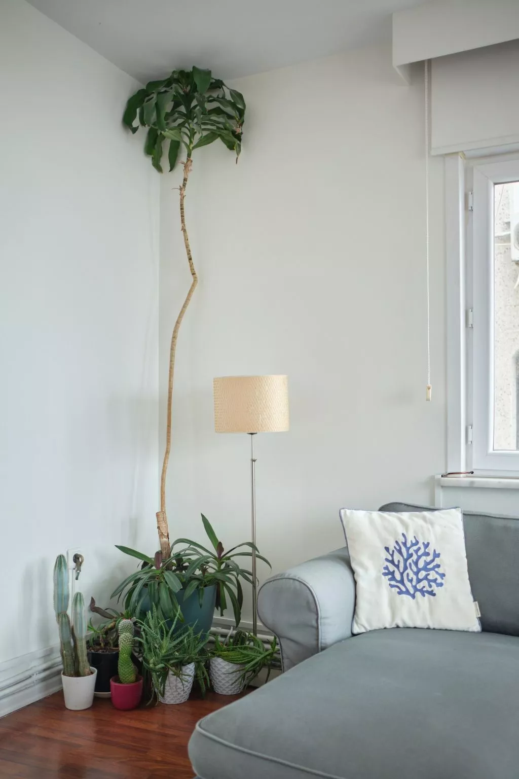 Wohnung mit Blick auf die Halbinsel von Istanbul - Image-tags.info