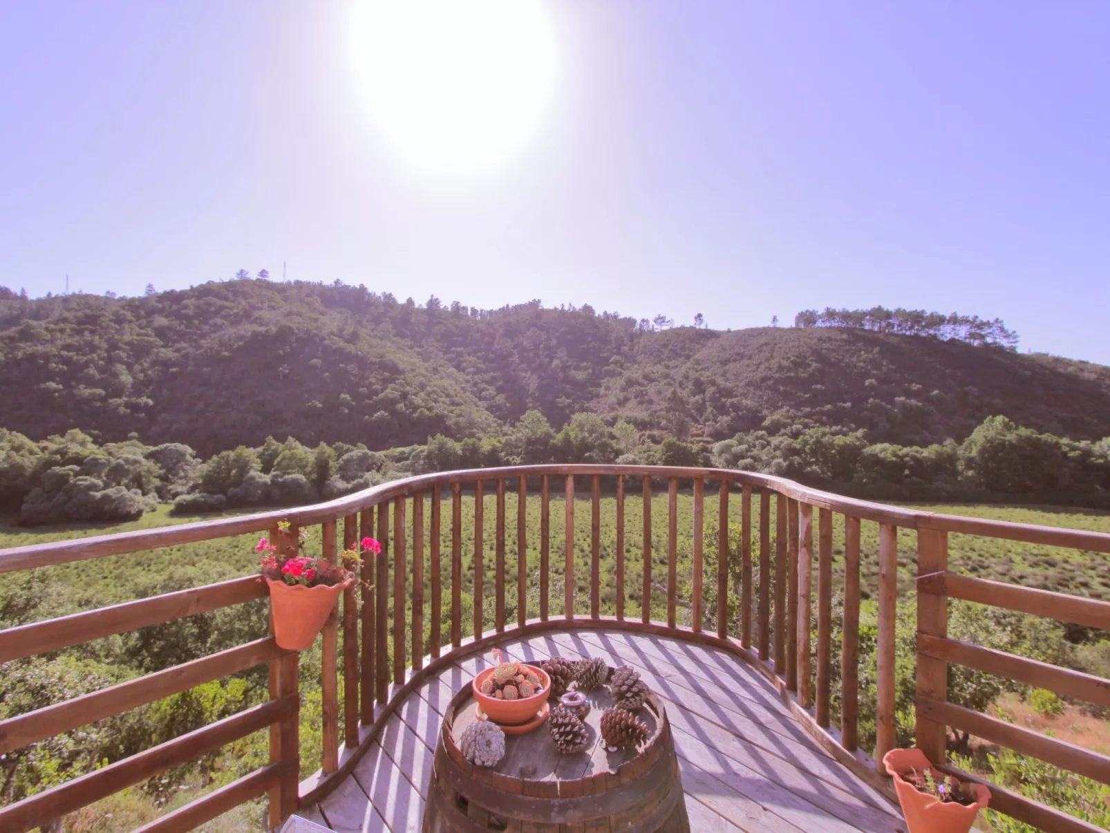 "The Natural Elements" - Buiten