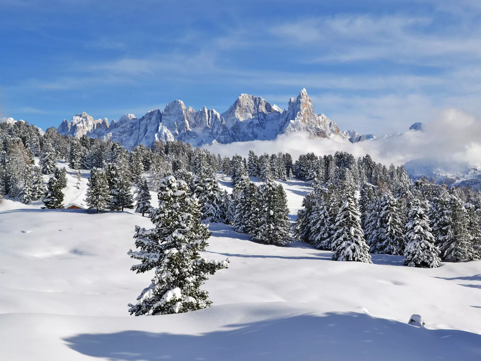 Casa Dalpi - Omgeving