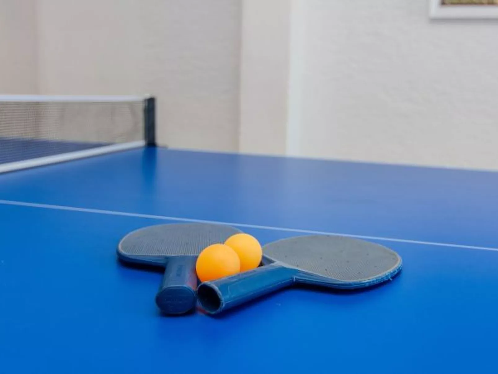 Villa Annamaria with large pool, Zadar - Image-tags.info