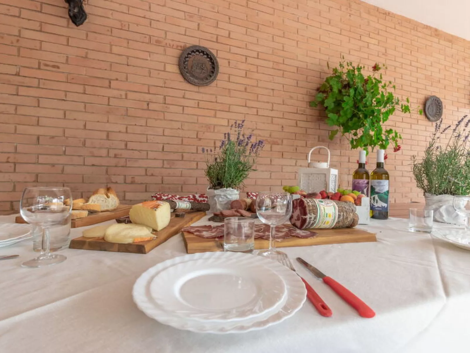 Villa Rosso Corbezzolo - Buiten