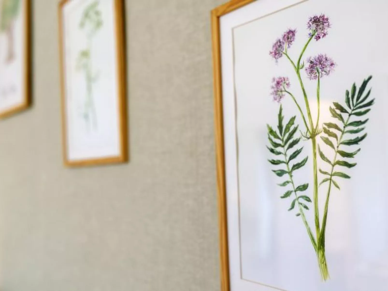 My  Home Sorrento - Image-tags.info